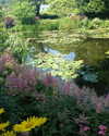 elizabethcampbelljones Altpins Profile Picture
