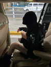 fair_mua Altpins Profile Picture
