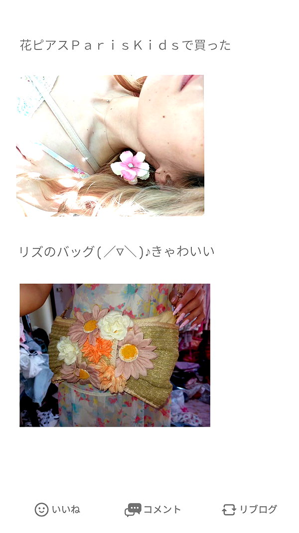 piyokoblog archive image