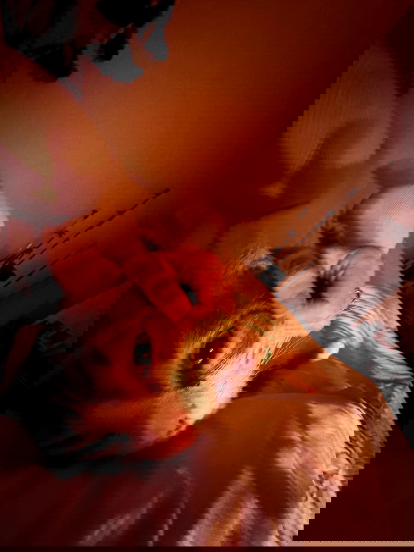 iambohema.v2 iambohema.v2 archive image