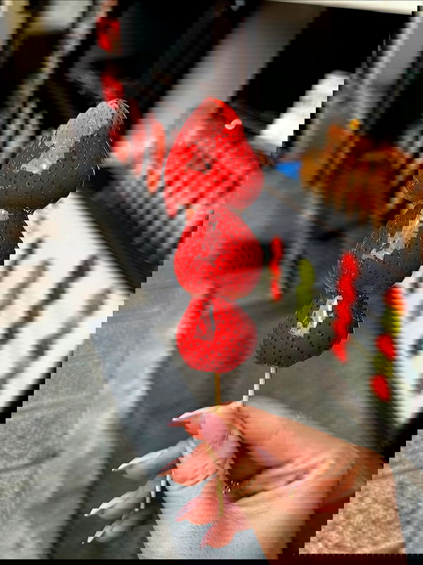 taylor.creeden taylor.creeden archive image