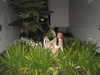 gritsa.k Altpins Profile Picture