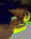 haileylayfield Altpins Profile Picture