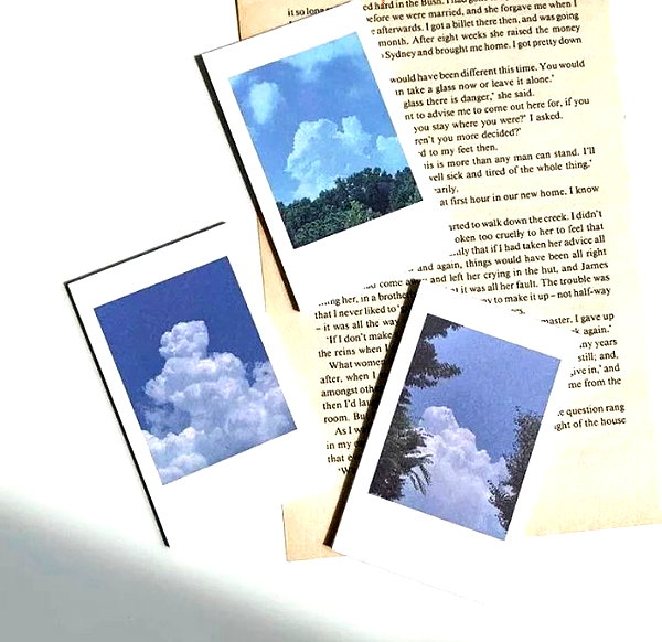 lai_931201 instagram image archive image