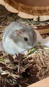 _urbaneva Altpins Profile Picture