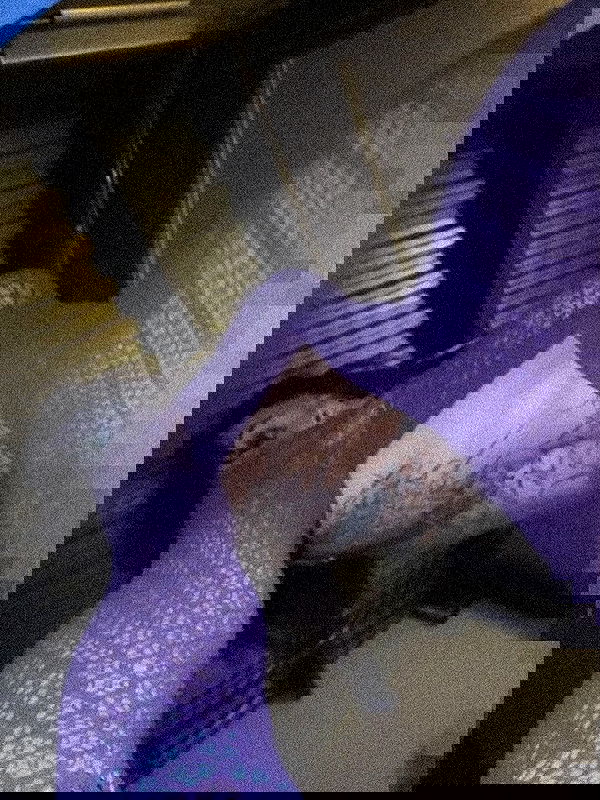 zommmbri zommmbri archive image