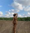 abigailgilat Altpins Profile Picture
