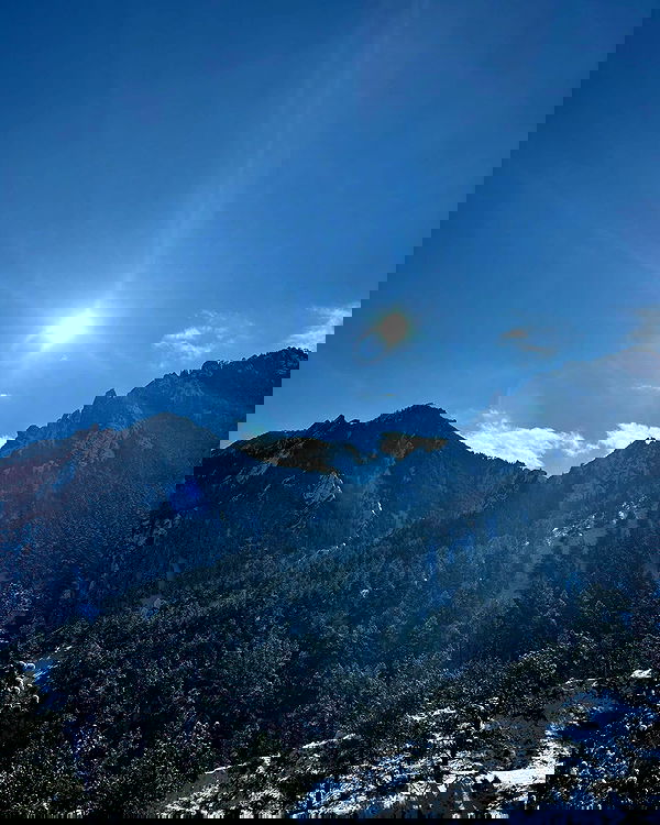 thelizzyporter thelizzyporter archive image