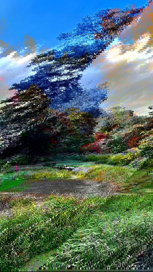 leonanaomii image ~ Altpins