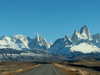 solzarubin_ Altpins Profile Picture