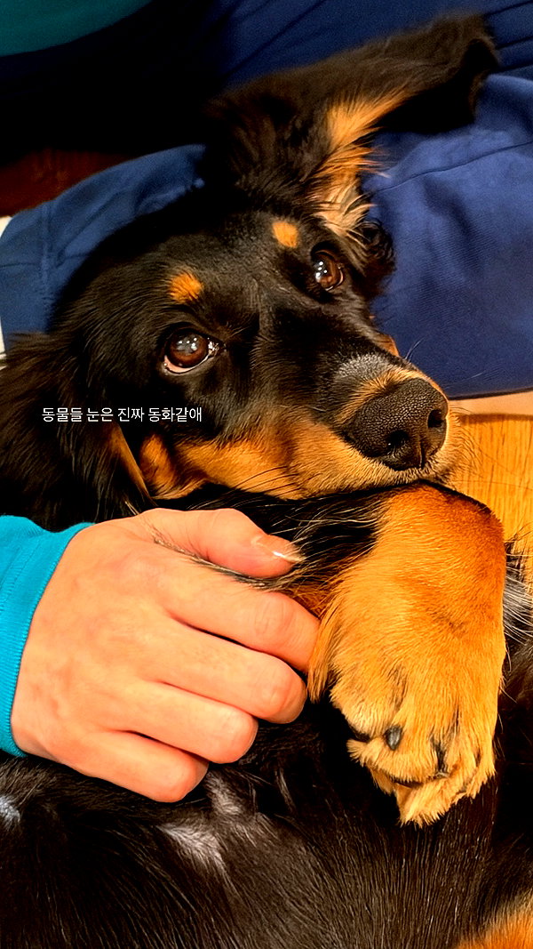 daxbin instagram image archive image