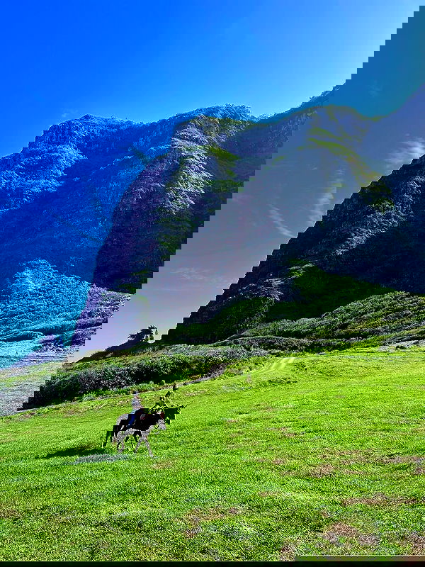 ellamwatts_ ellamwatts_ archive image