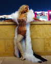 xtina Altpins Profile Picture