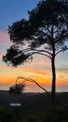 yasmin_kb Altpins Profile Picture