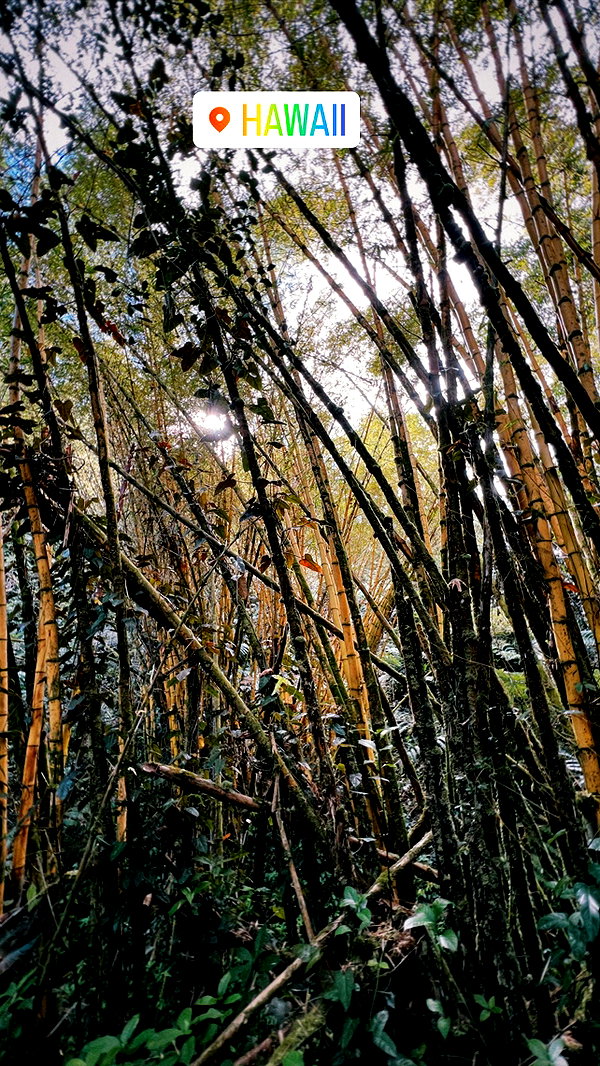 pokrov90 instagram image archive image