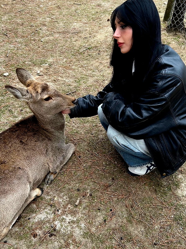 emwstwood instagram image archive image