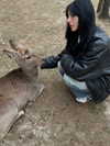emwstwood Altpins Profile Picture