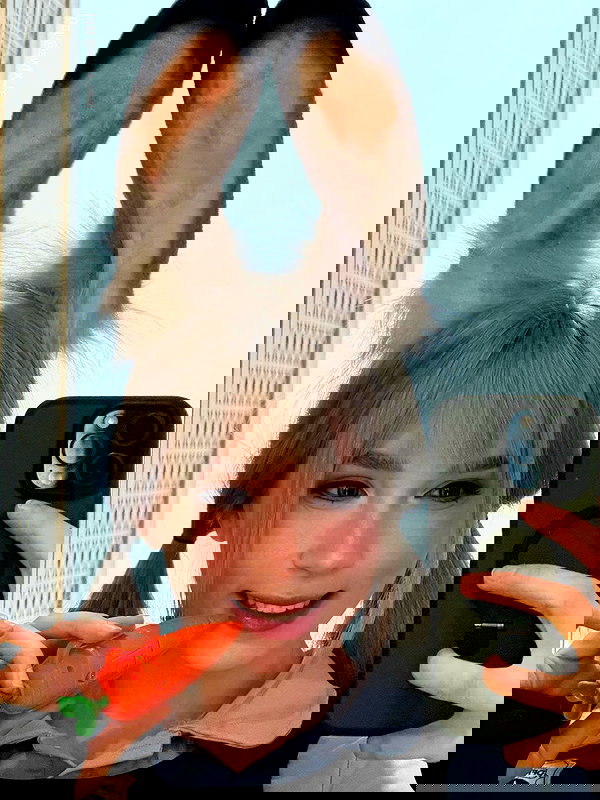 swfx_real swfx_real archive image