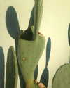 haileylayfield Altpins Profile Picture