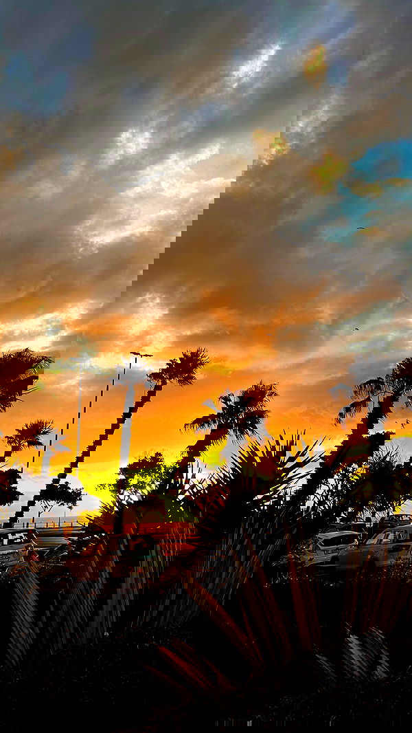 taylor.creeden taylor.creeden archive image