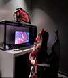 gallery_cosplayer Altpins Profile Picture