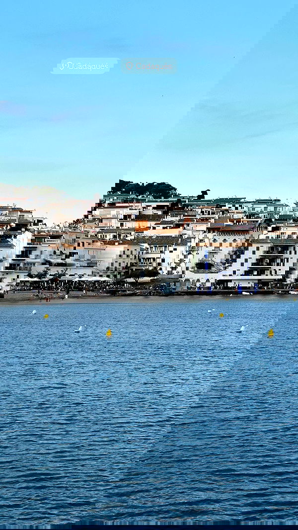 taylor.creeden taylor.creeden archive image