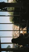 pia__kim Altpins Profile Picture