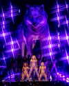 shakira Altpins Profile Picture