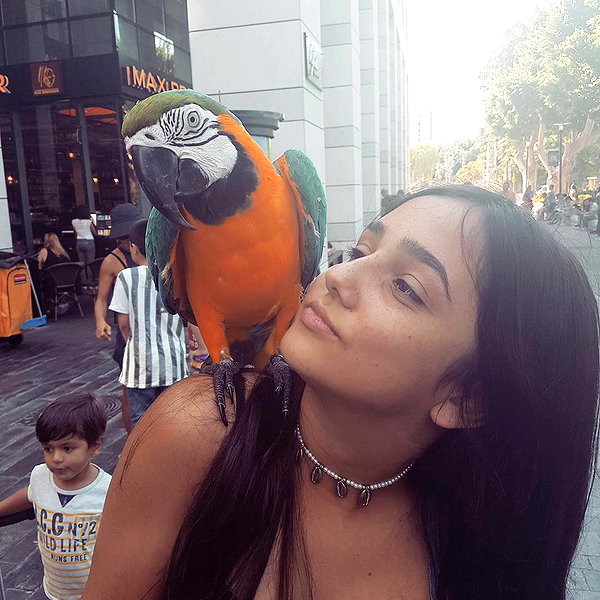 yuval_raz instagram image archive image