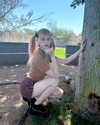 luly1980s Altpins Profile Picture