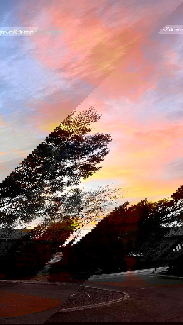 thelizzyporter thelizzyporter archive image