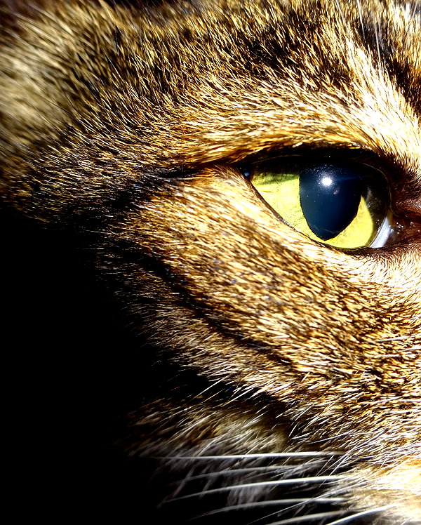 eva.6stuma.com6 instagram image archive image