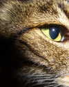 eva.6stuma.com6 Altpins Profile Picture