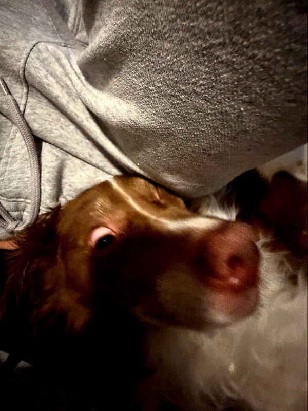 peachtoot.plz instagram image archive image