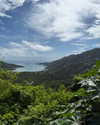 rouxroux.tv Altpins Profile Picture