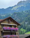 rouxroux.tv Altpins Profile Picture