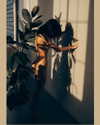 sagi.photo Altpins Profile Picture