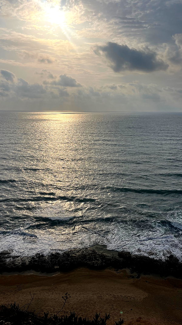 shirelokavi instagram image archive image