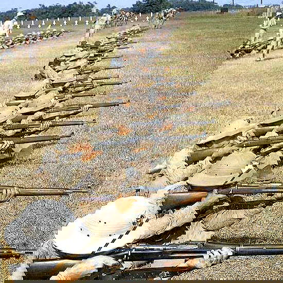 haylujan haylujan archive image