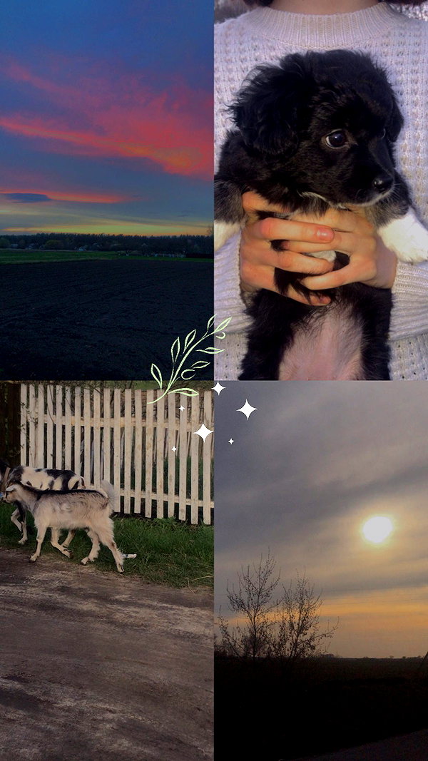 alisen.mari instagram image archive image