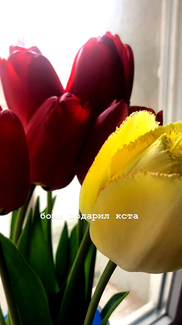 stea0diness instagram image archive image