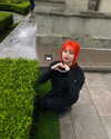 luly1980s Altpins Profile Picture