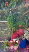 mishel_d_ Altpins Profile Picture