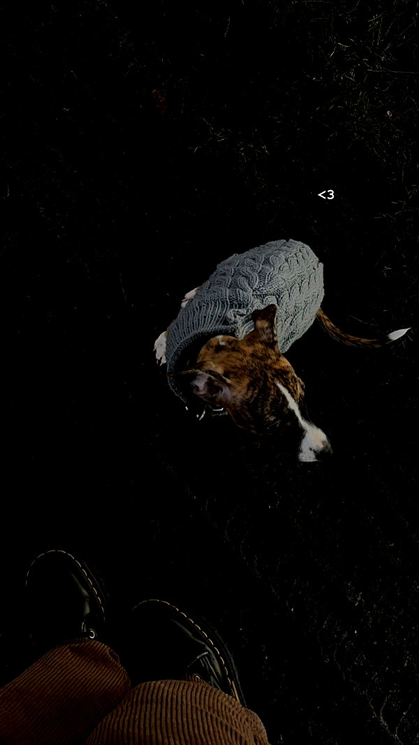 lilih archive image