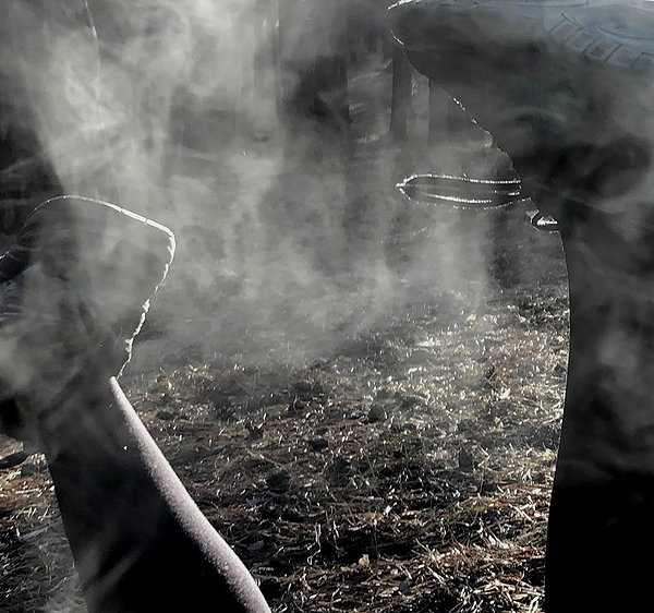 apathy.impress instagram image archive image