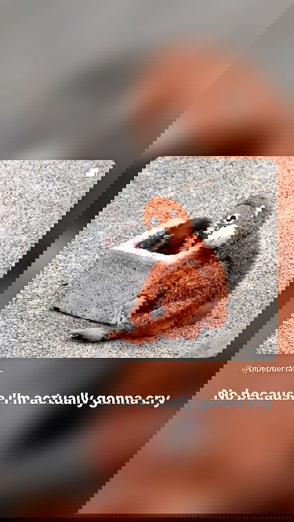 moonliliaght moonliliaght archive image