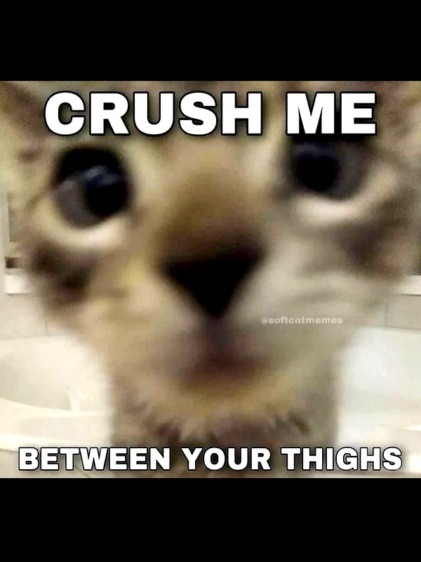 milkiwifey instagram image archive image
