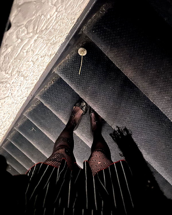 haileylayfield instagram image archive image