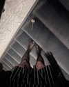 haileylayfield Altpins Profile Picture