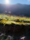 ruth_chavarri Altpins Profile Picture
